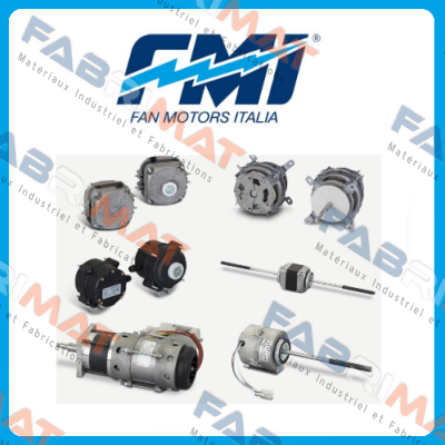 FMI (Fan Motors Italia)