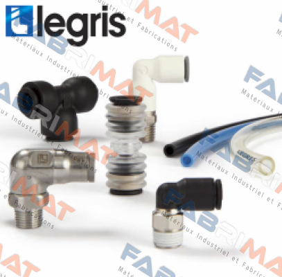 3101 06 10 (pack x10) Legris (Parker)