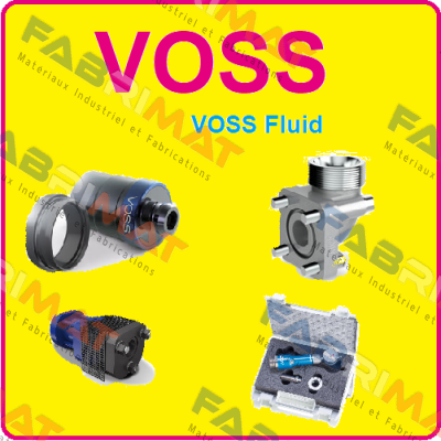 5203110000 Voss