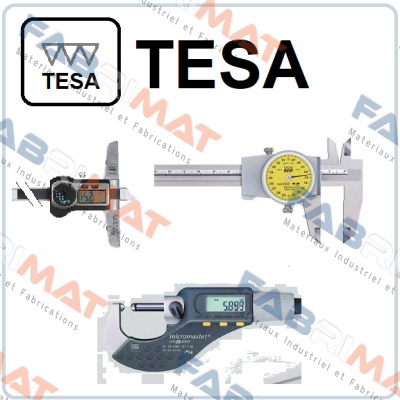 4863  Tesa