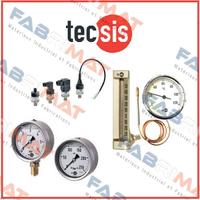 P2033B043901  Tecsis (WIKA Group)