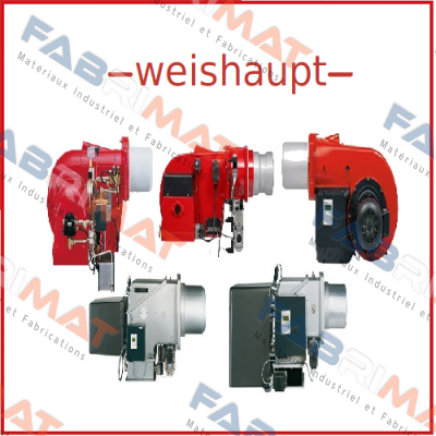 WM-G10/1A Weishaupt