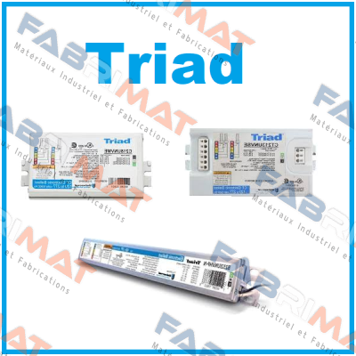 TRI-920D-61-015/R-AS-020/R-NMEXPO24DC000 Triad