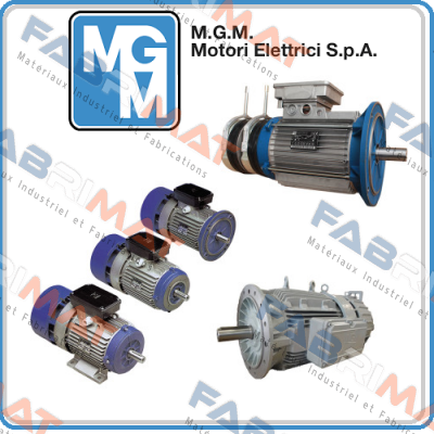 Three-phase red brake coil for MGM motor BA series size 100 M.G.M MOTORI