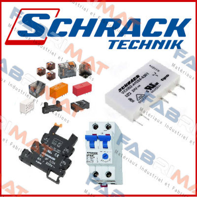 RT314024 (9-1393239-8) Schrack