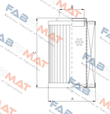 D121G25A Filtrec