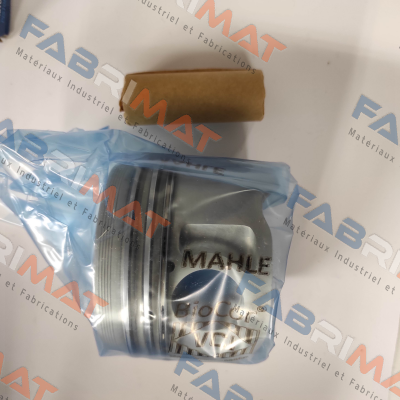 029 82 00 MAHLE