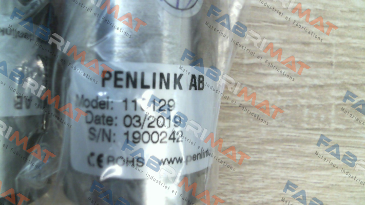 110129 PENLINK